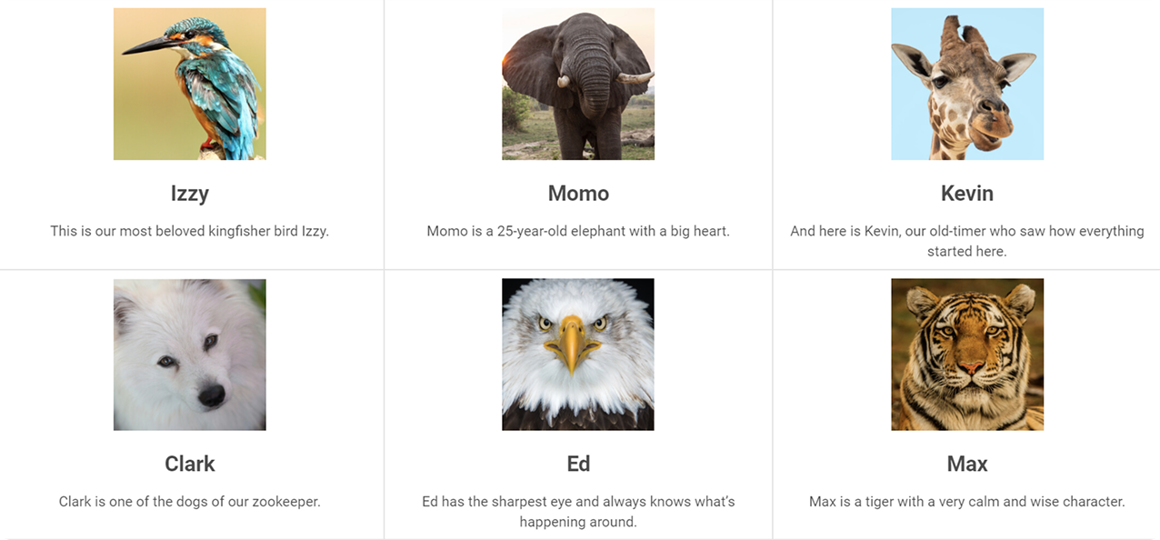 JS dataview with animals